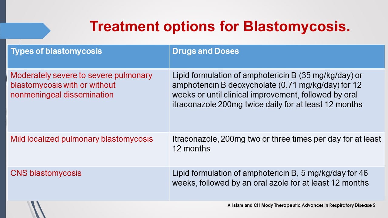 Antifungal Therapy in Patients