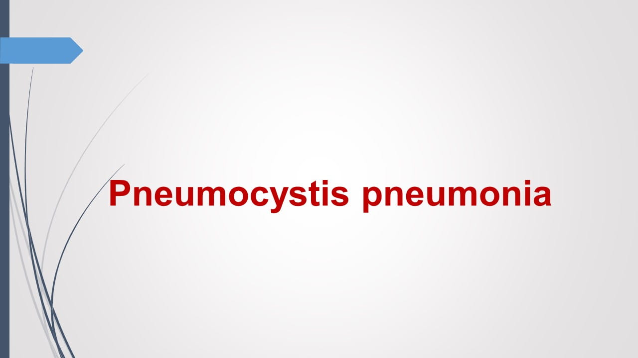 Antifungal Therapy in Immunocompromised Patients