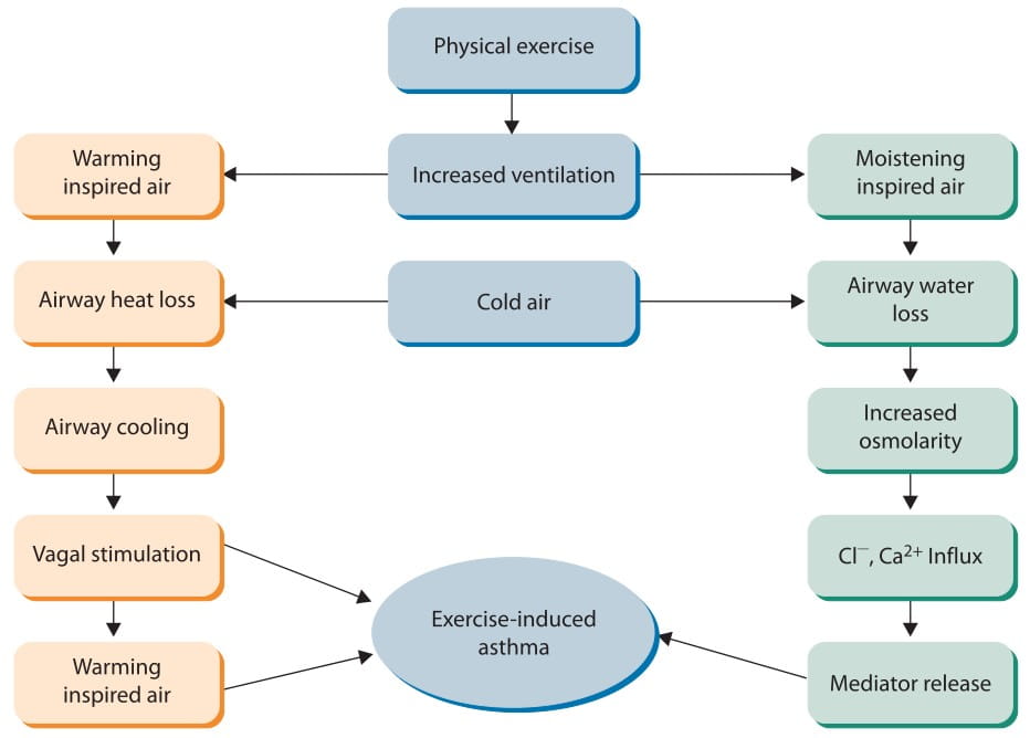 Asthma in Sports