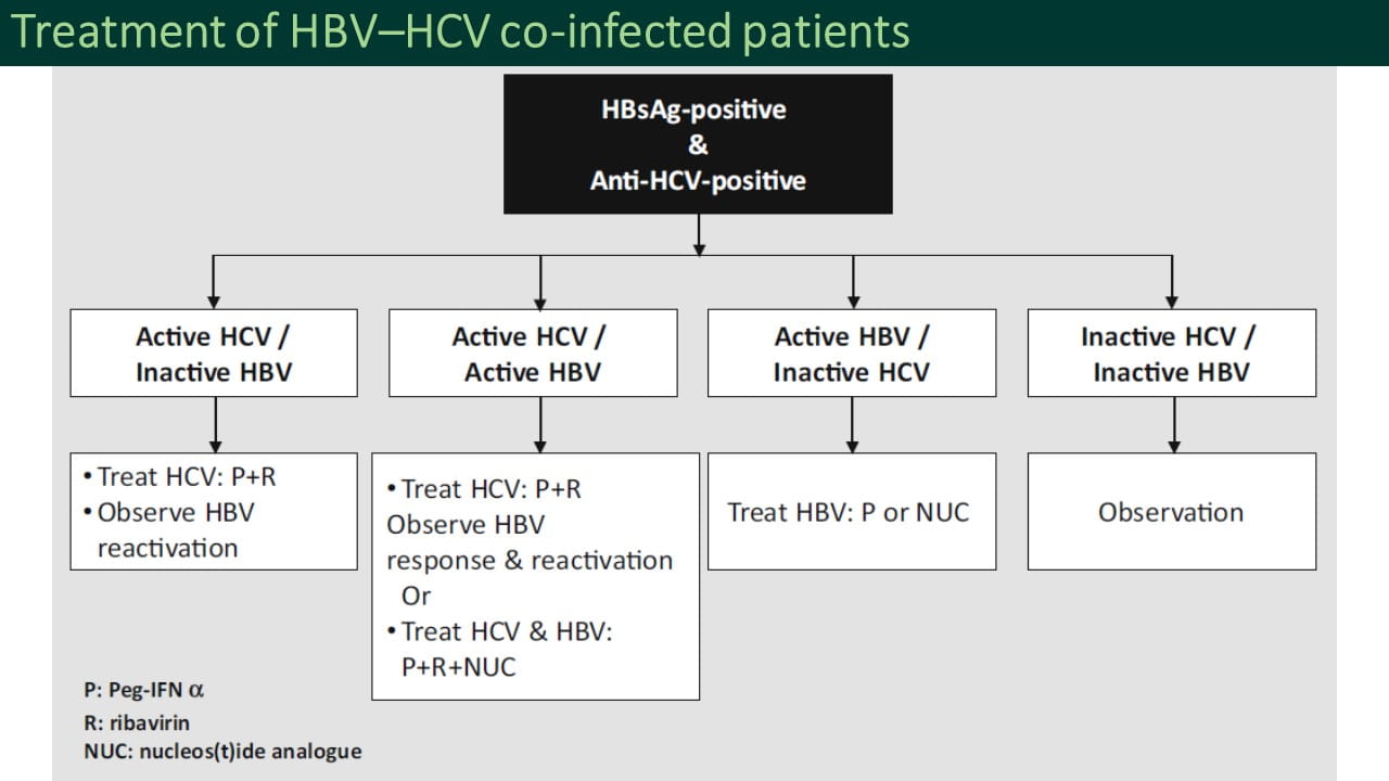 APASL Hepatitis B Guidelines: Update 2015