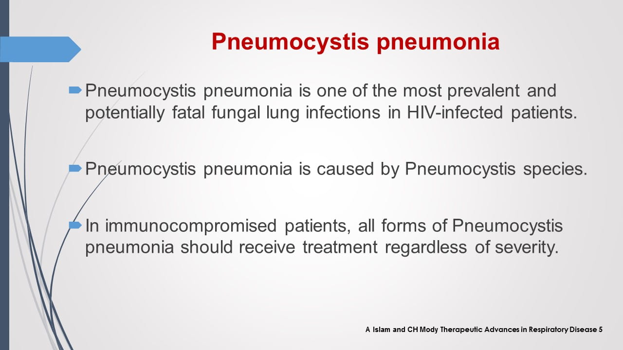 Antifungal Therapy in Immunocompromised Patients